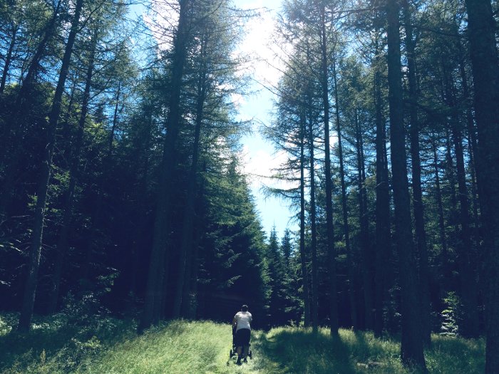 Passeggiata nel bosco in famiglia