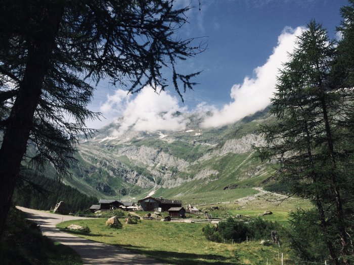 L'uscita dal bosco e la vista su Lazins Hof