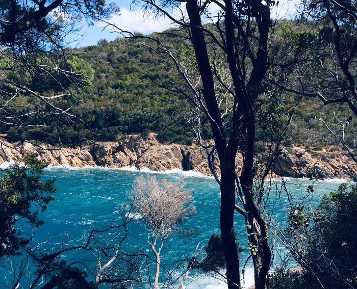 Sul percorso Natura da Procchio a Biodola all'Elba