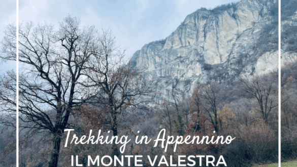 monte Valestra