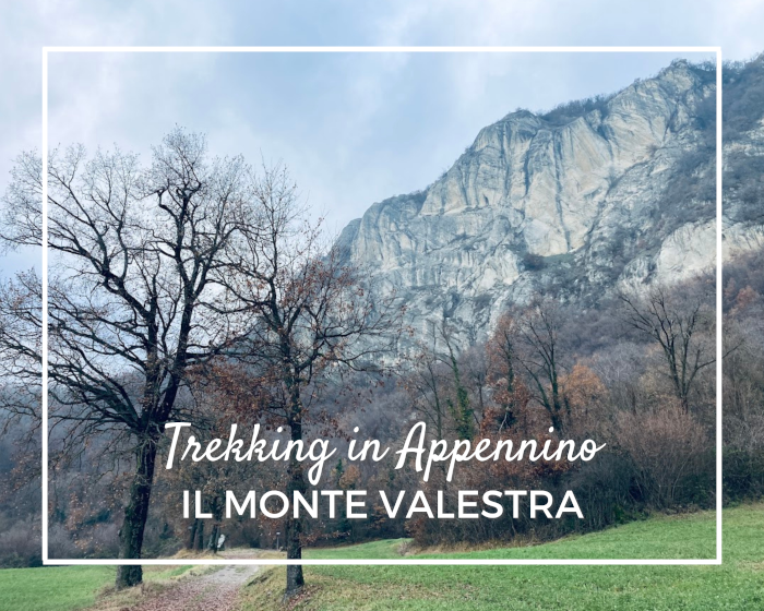monte Valestra
