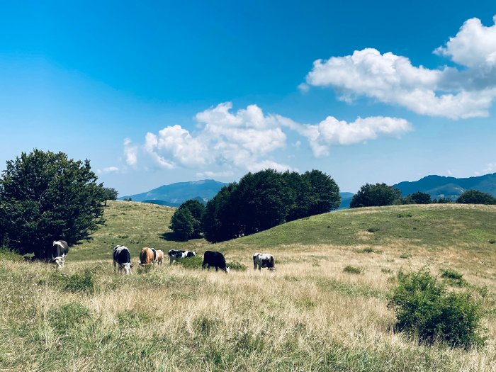Appennino Parmense con i bambini