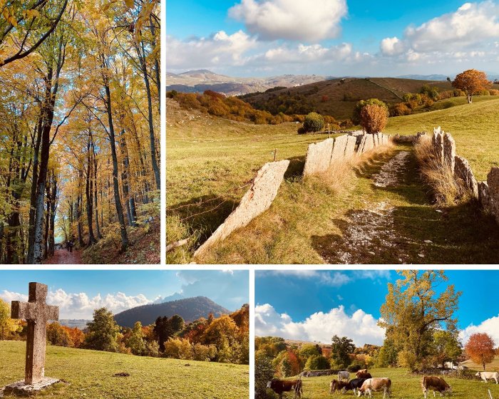 Trekking con bambini in Lessinia