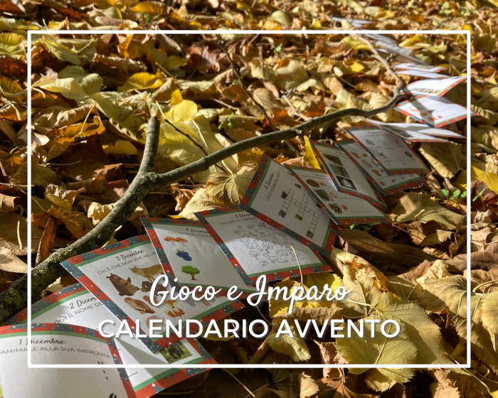 calendario avvento fai da te