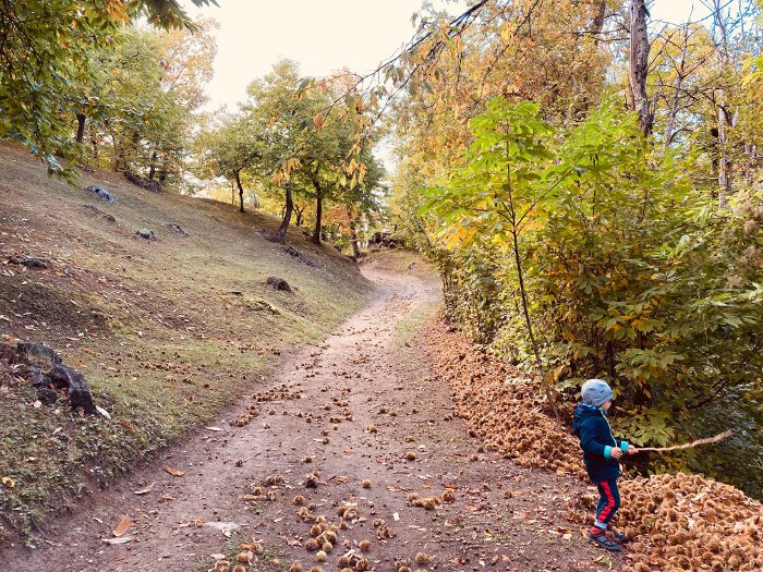 Appennino Reggiano in autunno