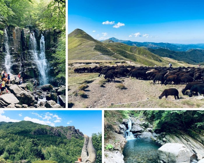 Trekking per famiglie nell'Appennino Modenese e Bolognese