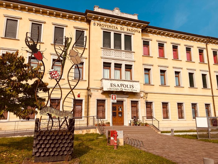 Esapolis: museo degli insetti a Padova