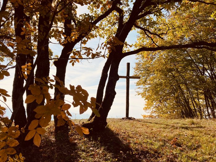 Sulla cime del Monte S. Vitale dal Sentiero Dorato