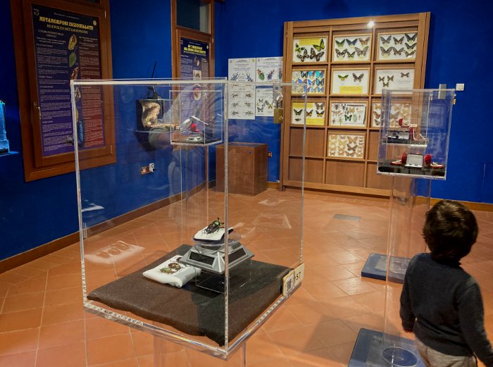 Musei della scienza per bambini