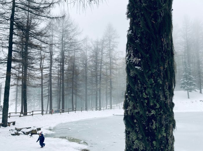 Scorci invernali