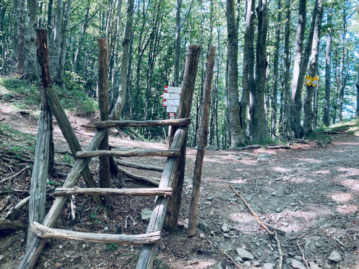 Dal Rifugio Lagdei al Monte Tavola con bambini