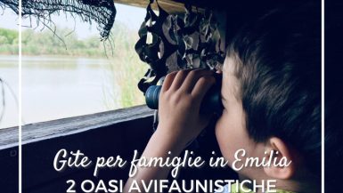 Birdwatching con bambini in Emilia Romagna