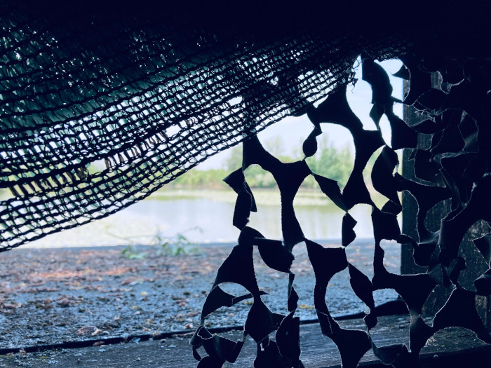 Birdwatching in Emilia Romagna