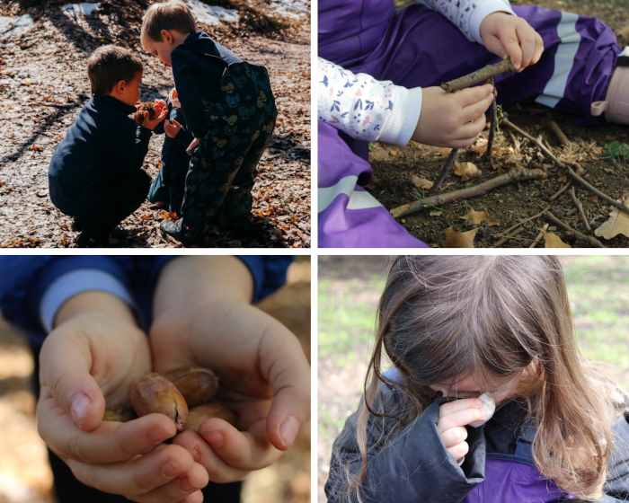 Attività in Natura per bambini nei dintorni di Reggio Emilia