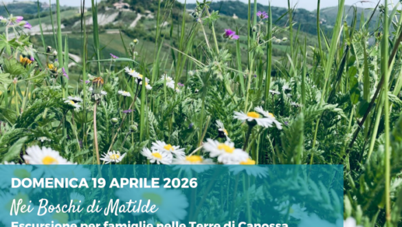 Escursione per famiglie nelle Terre di Canossa