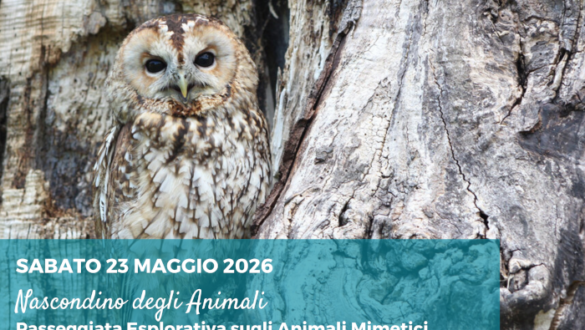 Attività nei dintorni di Reggio Emilia per bambini
