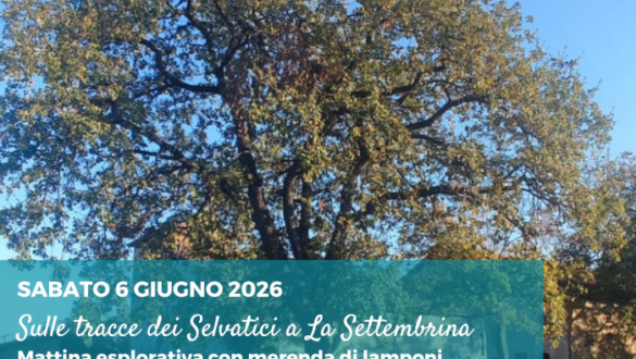 Attività nei dintorni di Reggio Emilia per bambini