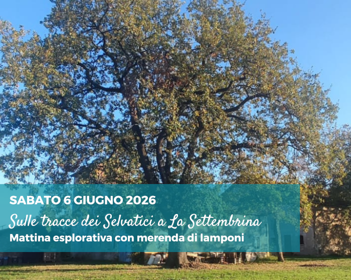Attività nei dintorni di Reggio Emilia per bambini
