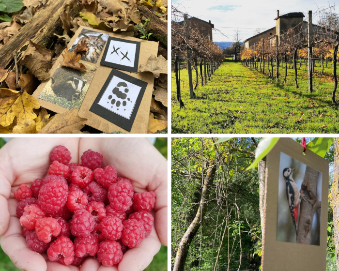 Attività in Natura per bambini nei dintorni di Reggio Emilia