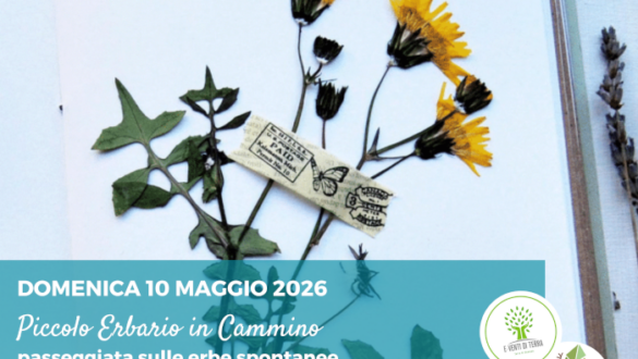 Laboratorio creativo a Canossa