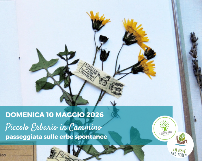Laboratorio creativo a Canossa