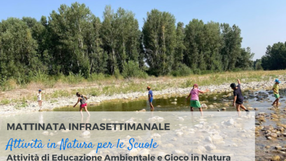 Attività per le scuole in Natura a Reggio Emilia