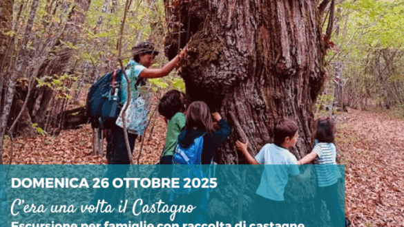 Escursione guidata per famiglie con raccolta di castagne