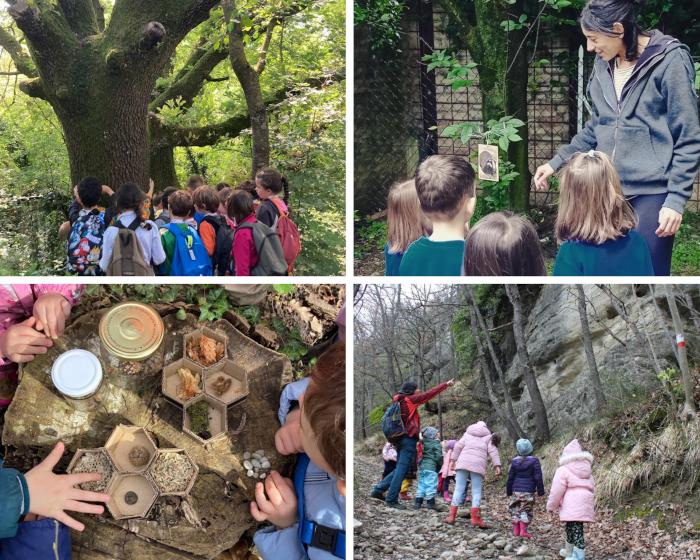 Attività in natura per le scuole