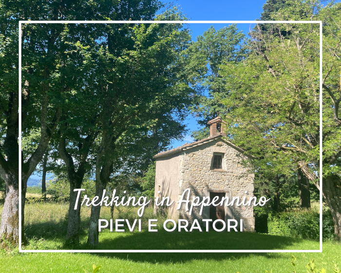 Pievi e oratori nei dintorni di Casina