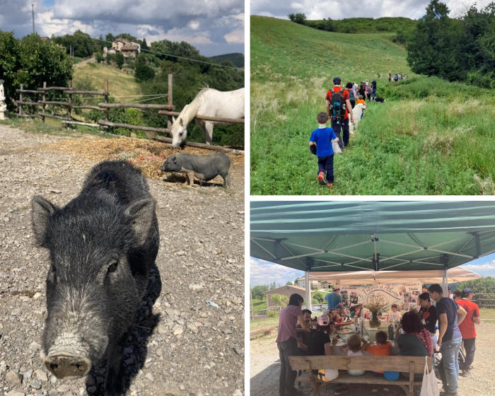 Attività per bambini nei dintorni di Reggio Emilia