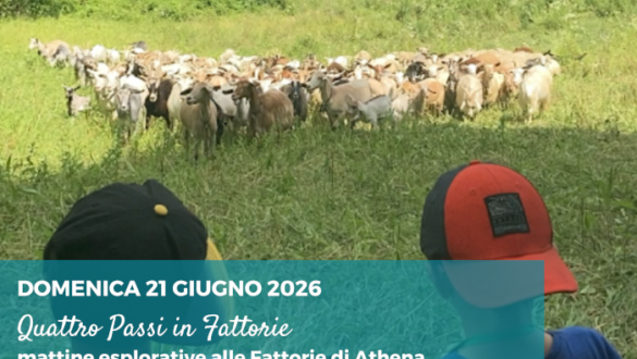 Attività nei dintorni di Reggio Emilia per bambini