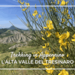 Trekking per famiglie nell'alta valle del Tresinaro