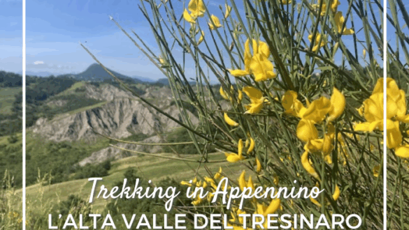 Trekking per famiglie nell'alta valle del Tresinaro