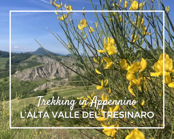 Trekking per famiglie nell'alta valle del Tresinaro