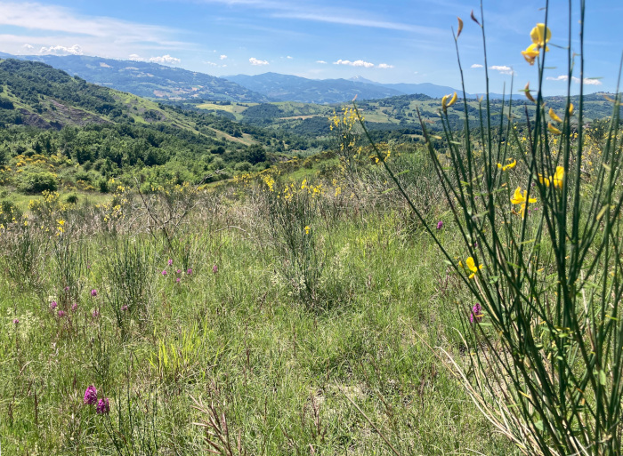 Alta valle del Tresinaro: trekking per famiglie