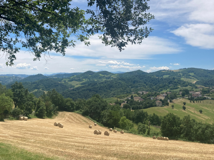 Alta valle del Tresinaro: trekking per tutti