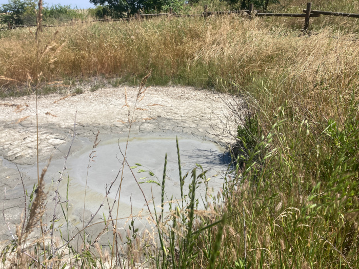 Trekking alle salse di Regnano e Casola