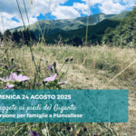 Escursione per famiglie nelle faggete di Pianvallese