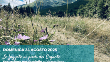 Escursione per famiglie nelle faggete di Pianvallese