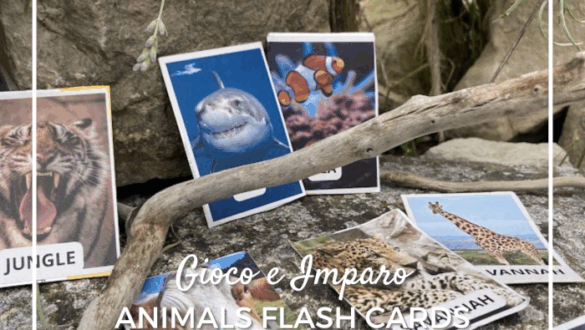 Flash Cards: inglese per bambini