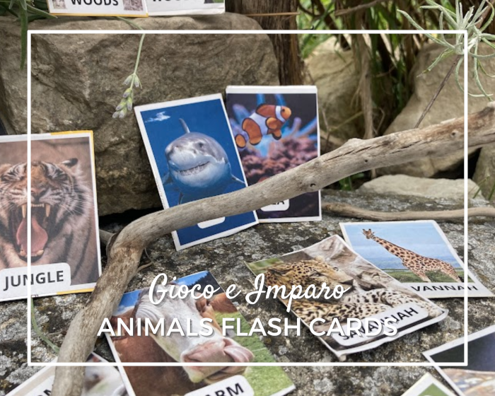 Flash Cards: inglese per bambini