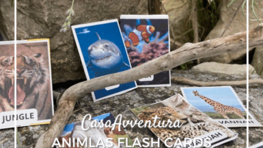 Flash Cards: inglese per bambini