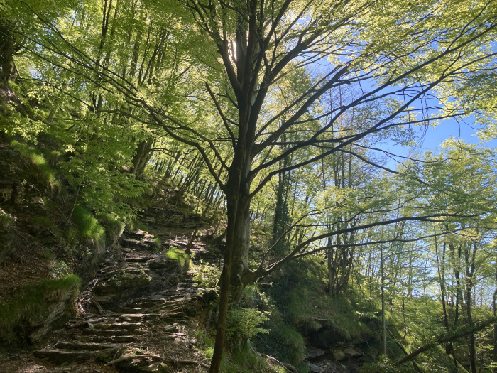 Trekking con bambini in Garfagnana