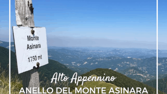 Trekking per famiglie dal Passo Pradarena