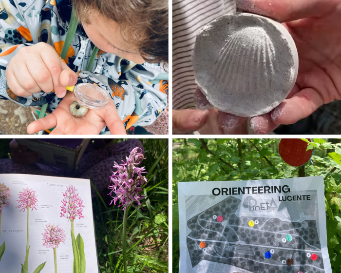 Attività in Natura per la scuola primaria