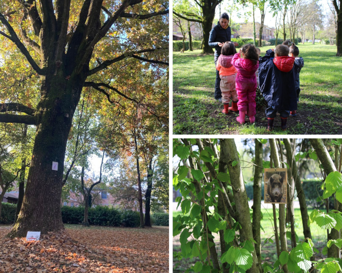 Outdoor education per la scuola infanzia