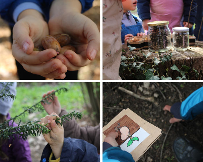 Esplorare la natura attorno alla scuola