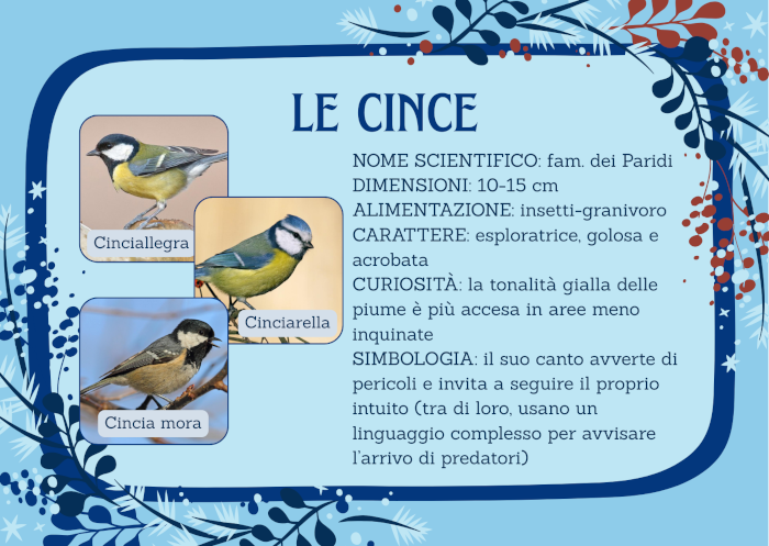 Piccoli uccelli invernali: le Cince