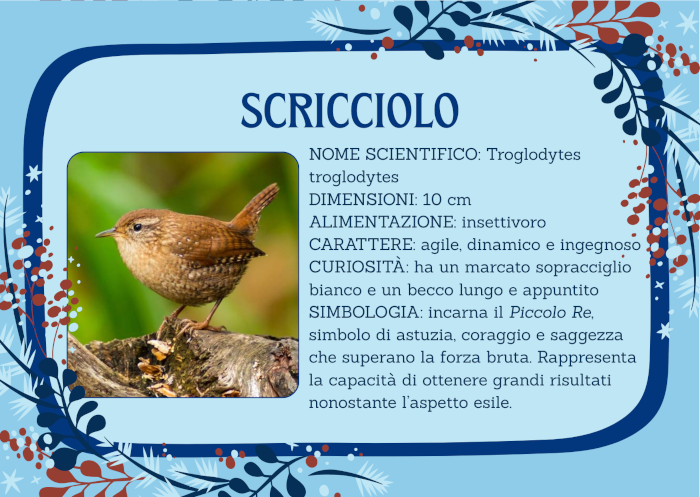 Piccoli passeriformi: lo scricciolo