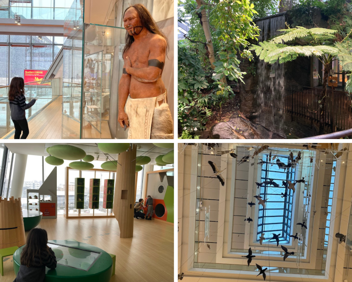 Il Museo delle Scienze di Trento con bambini